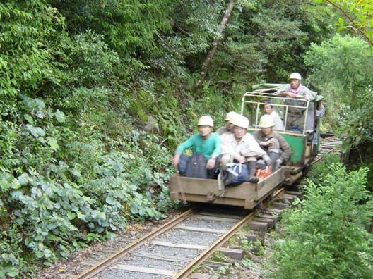 Logging Train